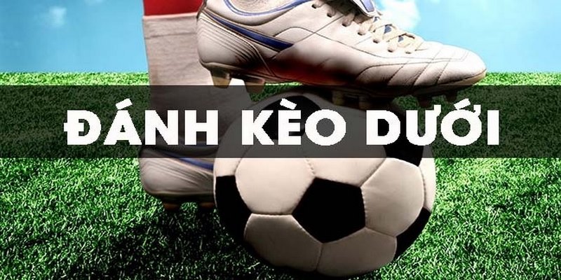 Tuyệt chiêu bắt kèo dưới hiệu quả từ các cao nhân