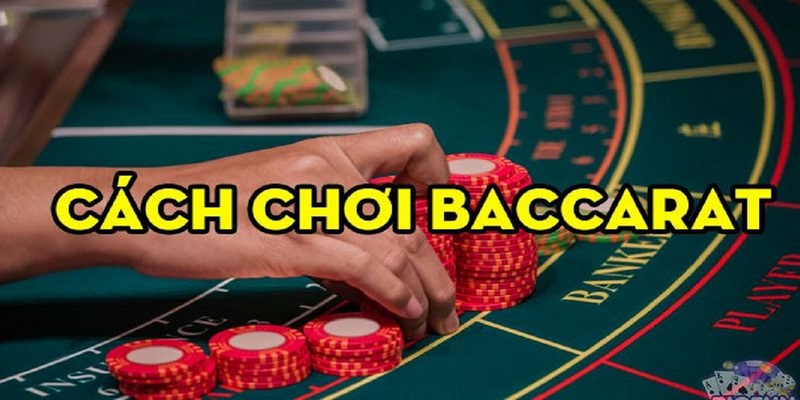 Cửa cược baccarat như trên ảnh