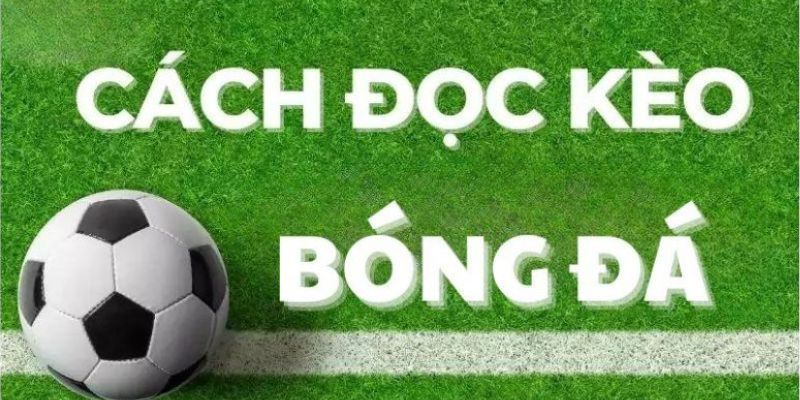 Kèo bóng đá là thông tin có liên quan đến tỷ lệ cược mà nhà cái trực tuyến đưa ra